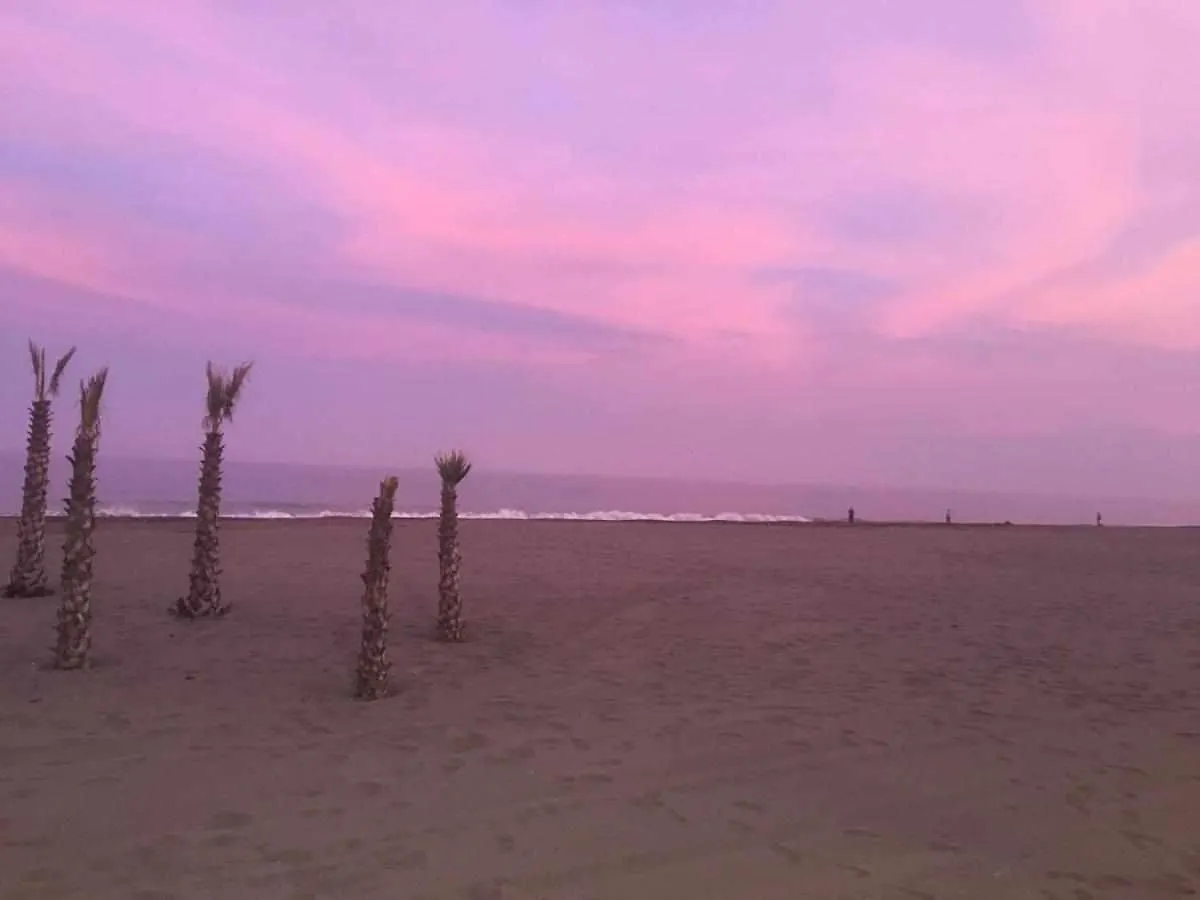 Apartment Chicflat San Roque Estepona Reformado En 2025
